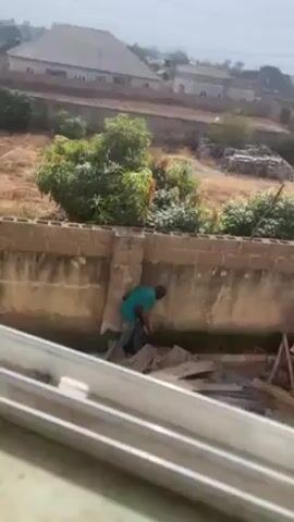 A man in a teal shirt and jeans is working near a brick wall outdoors. He is bent over, possibly manipulating objects on the ground. There is building material like lumber and possibly siding nearby. The area behind the wall appears overgrown with grass and small bushes. Buildings and trees can be seen in the background. The video is taken from an elevated perspective, through a window or opening.
