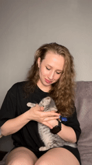 Afternoon at home in Moscow with a grey tabby kitten