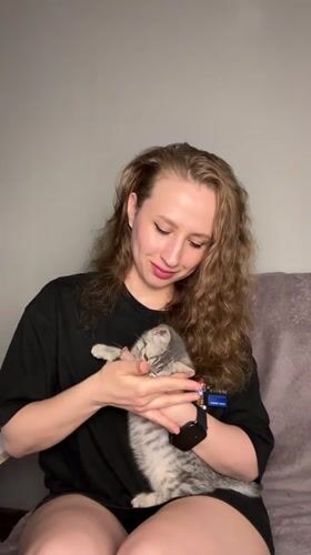 Afternoon at home in Moscow with a grey tabby kitten