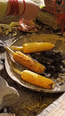 Daily life and landscapes documented in Bahang, India