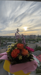 Flowers framed against sunset cityscape in Russia