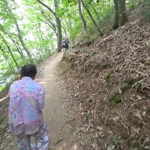 A person wearing a patterned shirt and pants walks along a dirt path in a wooded area. They are walking away from the camera. Another person wearing dark clothing is walking ahead of them on the same path. The path is lined with trees and dry leaves. The ground on the right side of the path is a slope covered with dirt and leaves.