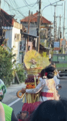 Traditional Balinese ceremony procession features motorbikes in Mengwi