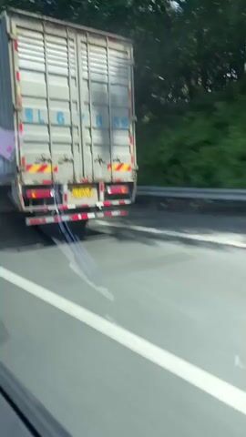 This video shows a large container truck driving on a highway. The truck is gray with a license plate that reads "67859". The truck has red and white reflective tape on the back and sides. The camera is filming from another vehicle moving alongside the truck. The environment appears to be a rural area with trees and vegetation visible on the side of the road. The sky is blue with some clouds. The video captures the motion of the truck and its surroundings as they travel down the highway.