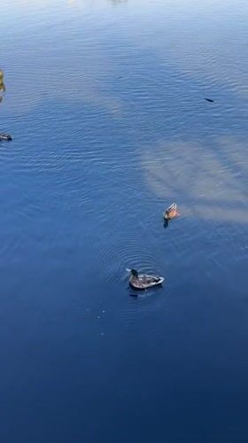 Morning coastal scenes documented across Fethiye, Turkey