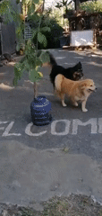 Event