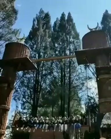 The video shows a group of people on a swing ride at an amusement park. The ride consists of a long wooden plank suspended between two tall structures. The people are seated on the plank and appear to be enjoying the ride. The background shows trees and a clear blue sky.