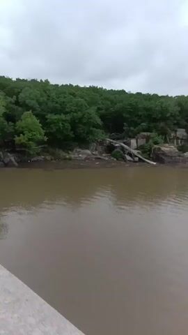The video displays a wide expanse of murky brown water, likely a lake or large river, under an overcast sky. The camera pans slowly from left to right, revealing a forested shoreline with rocky outcrops and some fallen trees or debris along the water's edge. In the foreground, a concrete structure, possibly a bridge railing or overlook, is visible. A single white buoy floats in the water at the 0:03 mark as the camera continues to pan, showing more of the distant tree-lined shore. The overall impression is a somewhat somber, natural landscape on a cloudy day.