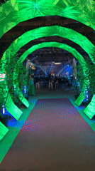 Event venue with red carpet, LED arches captured in Portorož