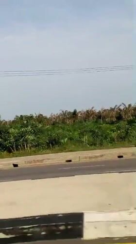 Cyclist spotted from moving vehicle in Ajara, Nigeria