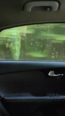 The video shows the interior of a moving car from a rear passenger perspective. The main view is through the rear passenger window, where blurred green foliage, likely trees or bushes, passes by quickly, indicating the vehicle is in motion. A faint, greenish, indistinct reflection, possibly of a person or object inside the car, is visible in the window glass. The car's dark-colored door panel is prominent in the foreground, featuring a chrome door handle, an armrest, and other door trim details. Above the window, part of the car's ceiling and an overhead grab handle are visible. The scene suggests travel through an area with significant vegetation. This location is contextually identified as Mednoye-Vlasovo, Russia. No text is visible in the video.