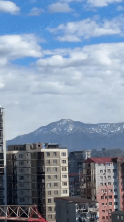 Morning life documented in Batumi: woman, dog, cityscape moments