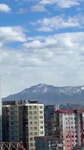Morning life documented in Batumi: woman, dog, cityscape moments