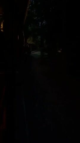 This is a nighttime video taken in a dark outdoor setting, likely a wooded area or a rural property. The primary subject is a deer, illuminated by a beam of light, possibly from a flashlight or vehicle headlights. The deer is standing and appears to be undisturbed by the light. The scene is very dark, with only a small area illuminated. The time of day is clearly night. There is no visible text in the video. The overall mood is quiet and a little eerie due to the darkness and the presence of a wild animal. The location context of Urayasu, Japan, suggests this could be a suburban or rural area on the outskirts of the city, where wildlife like deer might still be present.