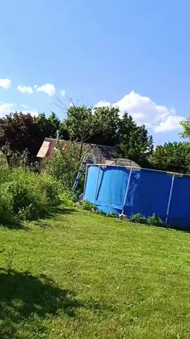 The video begins with a view of a bright blue sky and some white clouds. A large green lawn is visible in the foreground, with some trees and bushes behind it. To the right, a large blue inflatable swimming pool is visible, with a ladder leaning against it. Further back, a greenhouse and a small wooden building can be seen. The camera then moves to focus on a white net, possibly part of a hammock or swing, in the foreground. The net is woven and has a thick white rope along its edge. The background remains largely the same, with the sky, trees, and buildings visible through the net. The camera continues to pan and zoom slightly, providing a closer look at the net and the surrounding environment. The lighting suggests it is daytime, likely sunny. There are no people visible in the video.