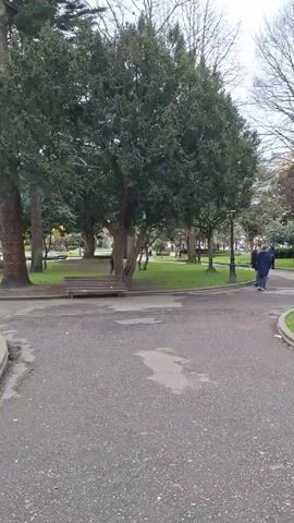 The video shows a park with people walking around on a cloudy day. There are trees, grass, benches, and lampposts in the park. The ground is paved, and there are some puddles. People are walking in different directions, some alone and some in groups.
