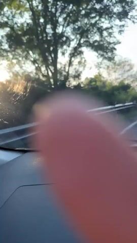 The video, filmed from the interior of a vehicle looking out the windshield, shows a roadside scene. A guardrail runs along the left side of a paved road. Several monkeys are visible sitting on top of the guardrail. Trees and dense foliage line the road, and utility poles with wires are present. The sky is blue with some clouds. The vehicle appears to be moving slowly.