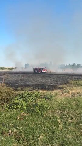 The video captures a scene of a field fire. In the distance, a red fire truck is visible amidst smoke. Further to the right, a police car is parked on a dirt path, and a group of people, including some in high-visibility vests, are gathered. The environment appears to be a rural or semi-rural area with dry grass and vegetation, with some green plants in the foreground. The sky is clear and blue. The fire seems to be contained or under control, with emergency services present.