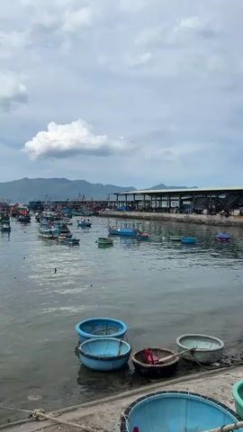 A coastal scene with numerous fishing boats docked in a harbor. The boats are of various sizes and colors, with some appearing to be traditional fishing vessels and others more modern. In the foreground, several basket-like boats are beached on the shore. The background features a line of buildings along the waterfront, possibly a market or port facility, and a mountain range under a cloudy sky. The water is calm, reflecting the sky and the boats. The overall impression is one of a working fishing community.