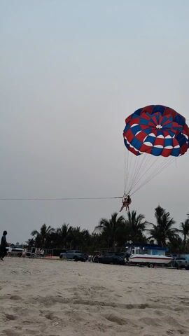 The scene depicts two individuals suspended in the air, parasailing under a large, multi-colored parachute. The parachute is predominantly red, white, and blue. The individuals are attached to the parachute with multiple lines. The background shows a beach setting, complete with palm trees, parked cars, and a boat. Several people are on the beach, some walking and others stationary, appearing to observe the parasailing activity. The sky is overcast, suggesting either early morning or late afternoon.