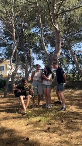 Four young people are standing in a park setting under a group of pine trees. The ground is covered with pine needles and cones. A young man is seated on a chair and playing an acoustic guitar. Two young women are standing next to him, looking at a phone held by one of them. A young man in a black shirt and grey shorts stands to the right of the women, looking at the phone as well. A white house with a brown roof is visible in the background behind the trees.