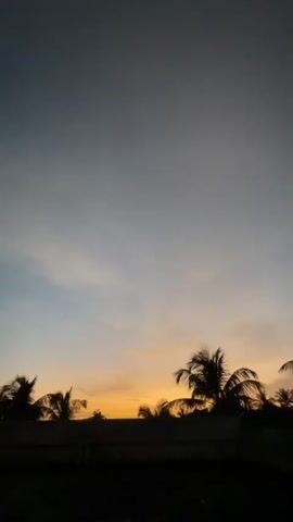The video is a vertical shot of a sunset. The sky is a gradient of dark blue at the top transitioning to orange and yellow near the horizon. Silhouetted palm trees and a dark horizontal line, possibly a fence or a building, are visible against the colorful sky. The overall mood is peaceful and serene.