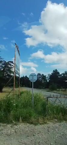 The video appears to be a dashcam recording from a vehicle moving along a road. The scene outside the vehicle shows a landscape with trees and a cloudy blue sky. On the left side of the frame, there is a large conifer tree and some grassy areas. In the center, a signpost is visible. To the right, more trees and a glimpse of a tall building are seen. The footage then transitions to show a field with dry grass and scattered trees, followed by a series of shots of various trees passing by, including some dead trees with bare branches. The foreground of the video consistently shows a grey metal guardrail. The camera is capturing the scenery from a moving vehicle.