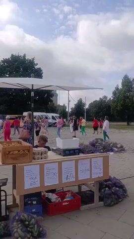 This video captures a market scene outdoors. In the foreground, a stall displays produce, including bags of cucumbers and boxes of eggs and other items, along with price signs. A young person is seated behind the counter, and an adult is standing nearby. In the background, several people are gathered, some appearing to be dancing or participating in an activity. Various vehicles, including vans and a bus, are parked in the distance. The setting is an open paved area with trees and a cloudy sky.