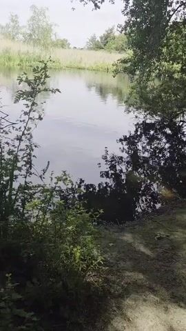 This media file captures a serene natural scene featuring a body of water, likely a lake or pond, surrounded by lush greenery. The foreground is dominated by leafy bushes and trees, with some dry branches adding a textural contrast. The water itself is calm, reflecting the surrounding foliage and the sky, creating a mirrored effect that adds depth to the image.

In the background, tall reeds or grasses line the far bank of the water, interspersed with scattered trees. The overall impression is one of a tranquil outdoor setting, possibly a park or nature reserve. The lighting suggests it is daytime, with sunlight filtering through the leaves, casting dappled shadows on the ground in the foreground. The weather appears to be mild and pleasant, conducive to outdoor exploration.

There are no people or explicit objects visible in the frame, focusing entirely on the natural landscape. The location cues, such as the type of vegetation and the calm water, are consistent with a temperate climate. The scene evokes a sense of peace and quiet, inviting contemplation. The time of day is likely mid-morning to late afternoon, given the quality of light. There is no visible text in the media file.