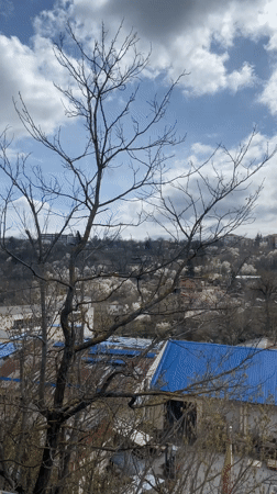 Spring morning scenes captured across Veliko Tarnovo, Bulgaria
