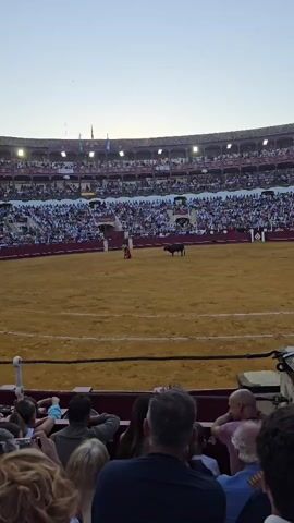A bullfight is taking place in a large arena. The arena floor is a dusty, reddish-brown color. A bullfighter, dressed in traditional bullfighting attire, stands in the center of the arena with a red cape. A large black bull stands a short distance away, facing the bullfighter. Spectators fill the tiered seating surrounding the arena, their faces turned towards the action. The sky above is a pale, hazy blue, suggesting it may be late afternoon or early evening. The overall scene is one of anticipation and the beginning of a traditional bullfight.