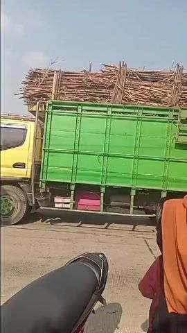 The video shows a bright, sunny outdoor scene. In the foreground, the back of a person wearing an orange hijab and a black baseball cap is visible, facing away from the camera. To their left, a motorcycle seat is partially visible. In the background, a large, green truck is parked, its bed overflowing with a tall stack of sugarcane stalks. Another person, wearing a white hijab, is standing next to the person in the orange hijab. To the right of the truck, a figure in a costume resembling a large, fierce creature with dark hair and a patterned outfit is standing. Another similar costumed figure is partially visible behind the truck. Several other people are standing around, some watching the costumed figures and the truck. The environment appears to be a road with some buildings and trees in the distance. The truck is being loaded or unloaded with sugarcane.