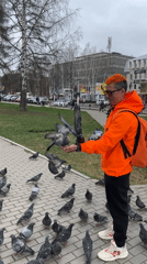 Orange-haired person feeds pigeons in Chaikovsky park