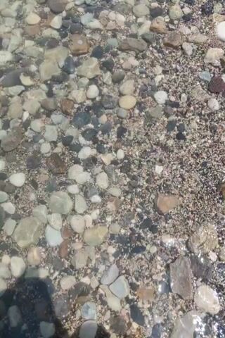 The video shows a person's feet walking through shallow, clear water over a rocky, pebble-strewn seabed. The water is only a few inches deep, and the pebbles are of various sizes and colors. The sunlight refracts through the water, creating ripples and distorting the view of the seabed. The person is wearing white socks or water shoes and dark shorts or pants. The camera is positioned at a low angle, looking down at the person's feet as they walk. The overall impression is one of a peaceful, natural setting, possibly a beach or a shallow river.