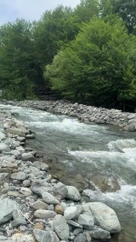 The video shows a medium shot of a flowing river with clear water and a rocky riverbed. The riverbank on the left is covered with large gray and white stones, while the riverbank on the right features a denser collection of similar stones. Beyond the right bank, a thick forest of green trees is visible. The water in the river is agitated, with numerous white splashes and ripples indicating a strong current. The scene appears natural and serene, without any human presence or man-made objects.