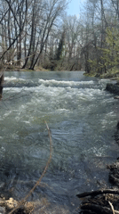 Spring river flow documented in Sofia parkland