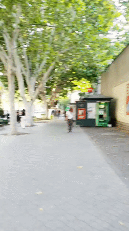 Afternoon foot traffic on a tree-lined street in Yerevan