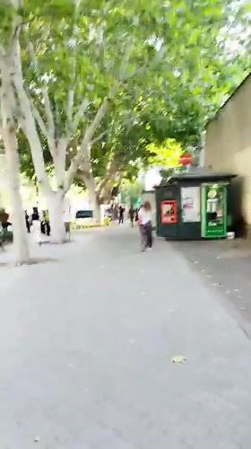 Afternoon foot traffic on a tree-lined street in Yerevan