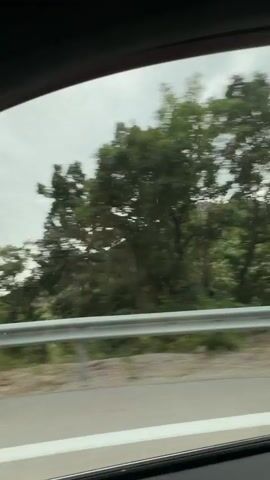 The video shows a first-person perspective from inside a car driving on a road. The view is through the windshield and side window. On the left side of the screen, a green, tree-covered mountain slope is visible. A silver guardrail runs along the side of the road. Trees and foliage line the road on both sides, with more dense greenery further up the mountain. The sky is overcast with clouds. In the side mirror, a red object, possibly another vehicle, is briefly visible. The car appears to be moving at a moderate speed, indicated by the motion blur of the trees.