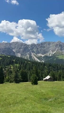 The video shows a vast mountain landscape with a clear blue sky and white clouds. The foreground is a lush green meadow, dotted with wildflowers. A dense forest of tall, dark green pine trees covers the middle ground, extending up the slopes of the mountains. The mountains themselves are rugged and imposing, with rocky peaks and slopes, some of which are covered in patches of snow or scree. A small wooden structure, possibly a cabin or shed, is visible nestled among the trees on the right side of the frame. In the second clip, a small figure, appearing to be a person wearing a light-colored shirt and dark shorts, is standing in the meadow, facing away from the camera. The overall impression is one of serene natural beauty and a sense of remoteness.