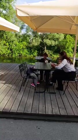 The video shows an outdoor cafe setting with a wooden deck and tables. There are people sitting at one of the tables, including a woman and two children. In the background, there is a body of water surrounded by trees. The video begins with a close-up of the table where the people are sitting, then pans out to show the wider environment. There is a large umbrella providing shade over the table. One child appears to be reaching for something on the table. The woman is looking at her phone. The scene is peaceful and depicts a pleasant outdoor dining experience.