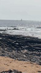 Surfers hit a rocky Tenerife shore on a busy afternoon