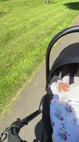 The video captures a first-person perspective of someone pushing a stroller along a paved path next to a lush green grassy area. In the foreground, a baby is visible in a black car seat, which is part of a stroller system. The baby is partially covered by a white blanket featuring illustrations of Paddington Bear, the London Eye, Big Ben, and the word "Paddington" repeated several times. The baby's small hand is resting on the blanket.

The grassy area to the left of the path is dotted with small yellow dandelions. Further back, several young trees with protective wooden cages are planted in a line. Beyond these trees, there are denser green bushes and trees, and what appears to be a residential fence or property line in the distance. The sky is bright and clear, indicating a sunny day. The scene suggests a pleasant outdoor walk, possibly in a park or along a public pathway in Bearpark, United Kingdom.