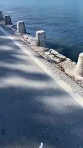 The video shows a roadside view of a body of water with mountains in the background. The road has a white line marking and a guardrail. Along the water's edge, there's a stone barrier with concrete posts. The water is calm and blue. The mountains are rocky and gray, partially covered with some greenery. The sky is clear and blue. The camera is positioned on the side of the road, looking out towards the water and mountains.