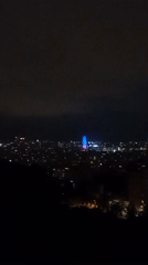 Barcelona's nighttime skyline from above, Ferris wheel glowing