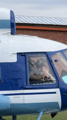 Art exhibition and helicopter sighting documented near cathedral