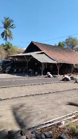 A wide shot shows a dusty outdoor area in front of a long, open-sided structure with a reddish-brown tile roof. A black truck is parked to the left of the structure. In front of the structure, three individuals wearing conical hats are visible. Two are seated on the ground, one appearing to be sorting or collecting material from the ground, and another is further to the right. The ground in front of the structure is covered with rows of dark material, possibly salt or charcoal, laid out to dry. A palm tree is visible in the background to the left, and the sky is clear and blue.
