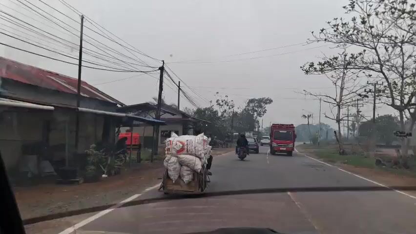 A motorcycle with a large load of sacks strapped to its back is traveling down a paved road. The motorcycle is in the left lane, and there is a red truck in the right lane ahead of it. There are several buildings on the left side of the road, and trees and utility poles line the road. The sky is overcast.