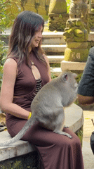 Up-close with monkeys at Ubud's famous sanctuary