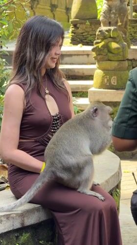 Up-close with monkeys at Ubud's famous sanctuary